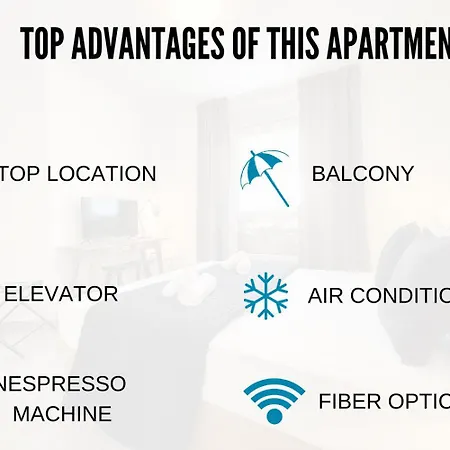 Nestor&jeeves - Palma - Proche 니스